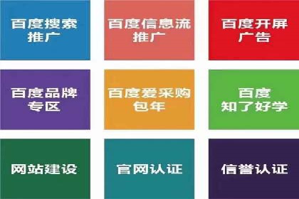 百度推广的成功案例：从零到一的突破